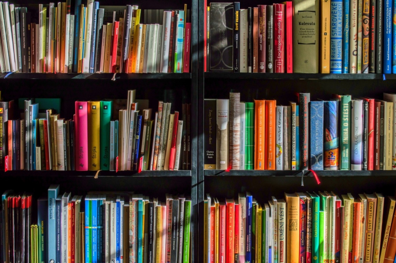 boutique-VALDEROURE-min_books_bookstore_book_reading_shop_writer_sale_books_read-822866